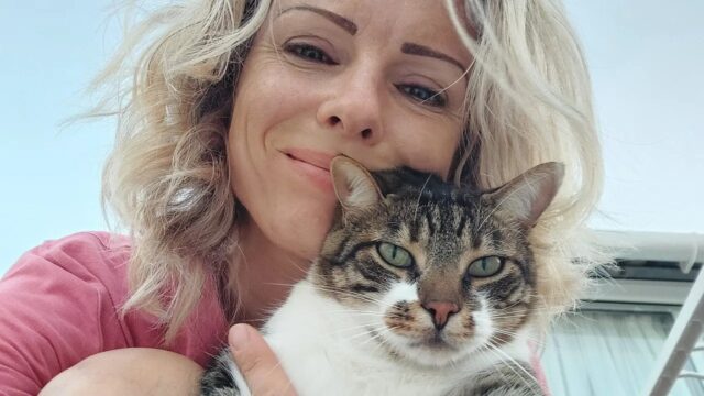 Κρήτη: Τουρίστες «επικήρυξαν» τον κυνηγό που τους σκότωσε τη γάτα – Δίνουν 2.000 ευρώ