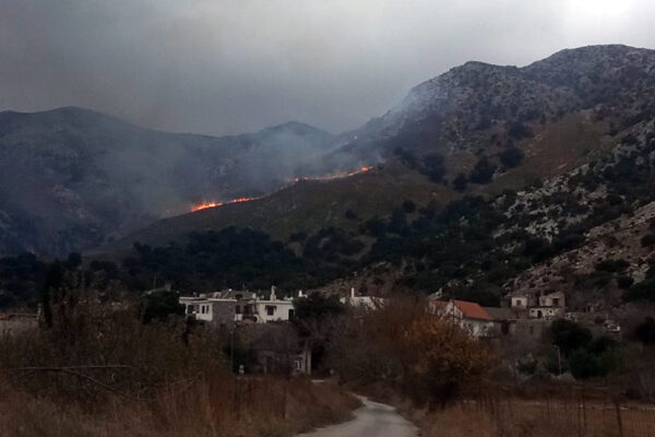 Κάηκαν 200 στρ. δασικής έκτασης μετά από πυρκαγιά στο Οροπέδιο Λασιθίου
