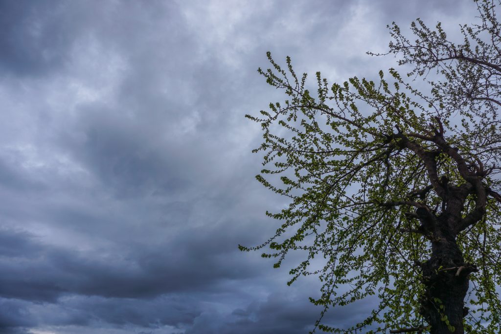 Εκτακτο δελτίο ΕΜΥ: Ισχυρές βροχές και καταιγίδες από το βράδυ του Σαββάτου σε 8 περιοχές