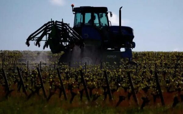 Αποκλείουν το αεροδρόμιο οι κτηνοτρόφοι των Χανίων – Την Τετάρτη αποφασίζουν κινητοποιήσεις οι αγρότες στα Χανιά