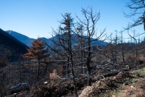 Νέος εθνικός χάρτης εκτίμησης κινδύνου δασικών πυρκαγιών- Η κατάταξη για την Κρήτη (Δείτε τον χάρτη)